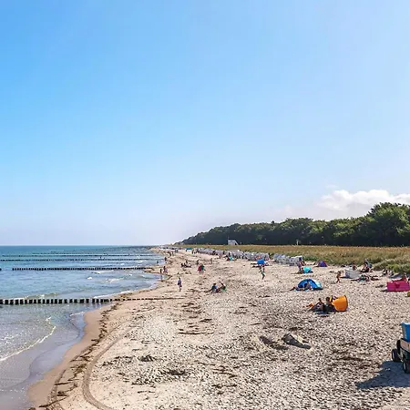 Strandlaeufer An Der Seebruecke * Zingst