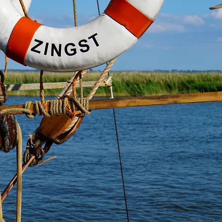 Strandlaeufer An Der Seebruecke