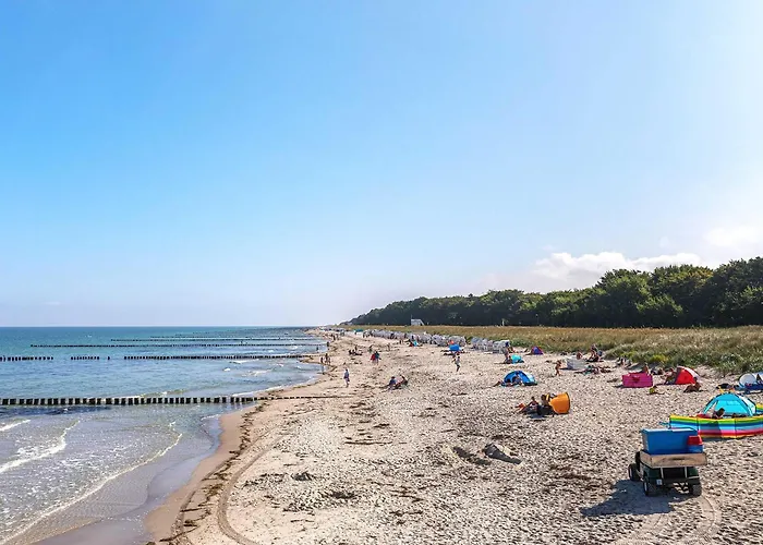 Strandlaeufer An Der Seebruecke * Zingst